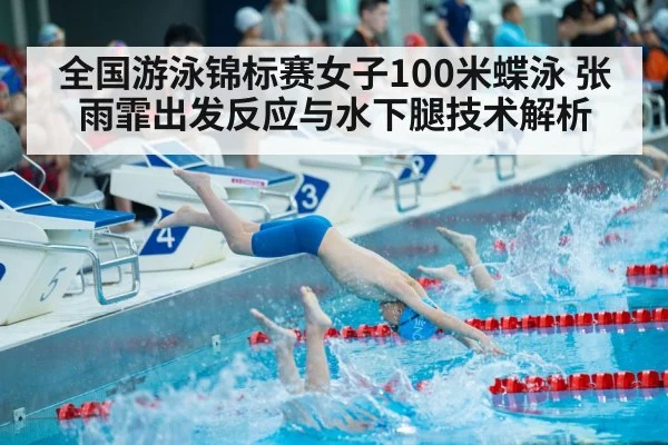 swimmer diving start swimming pool